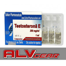 Testosterona E 250 1 Ml 250 Mg Balkan Pharma